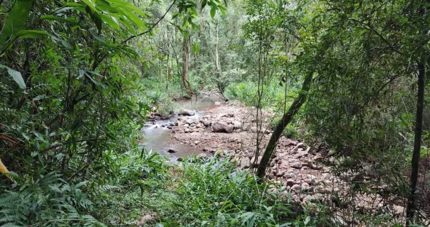 Área de terra margeada por arroio à venda em Picada Café na Serra Gaúcha