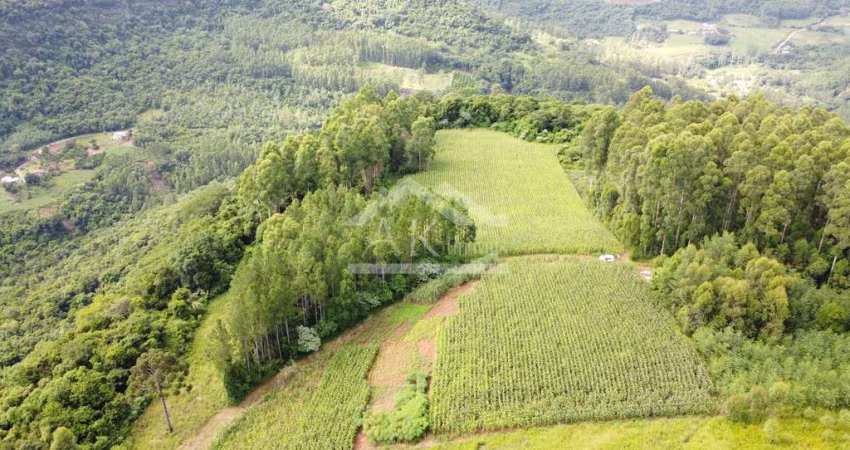 Área de terra com vista e vertente à venda em Nova Petrópolis na Serra Gaúcha