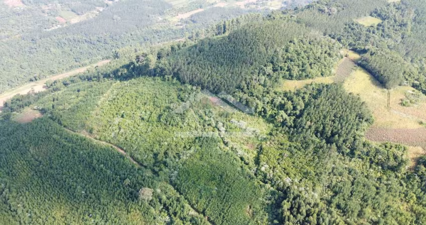Áreas de terra à venda em Picada Café na Serra Gaúcha
