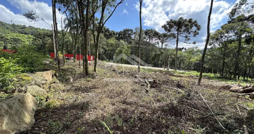 Terreno com fundos para área verde à venda em Nova Petrópolis na Serra Gaúcha