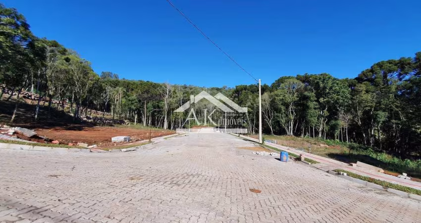 Terrenos à venda no bairro Linha Imperial, em Nova Petrópolis, na Serra Gaúcha