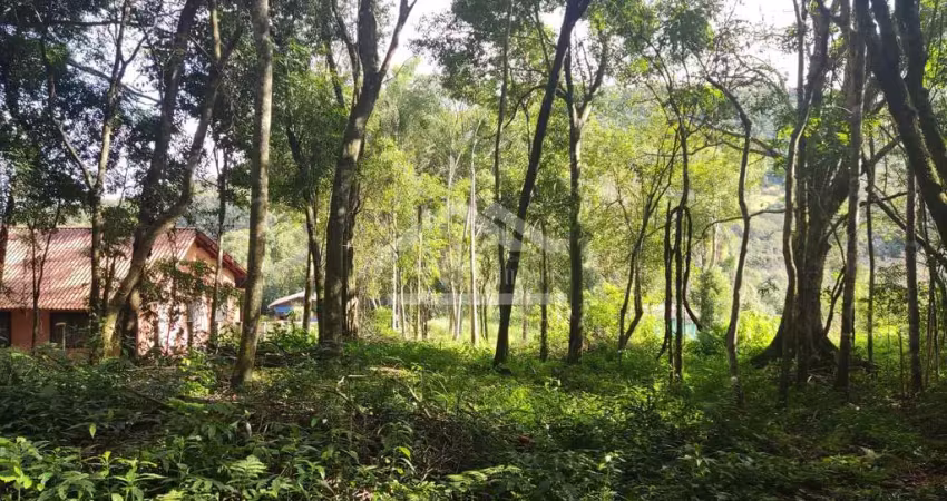 Amplo terreno arborizado à venda em picada café na serra gaúcha
