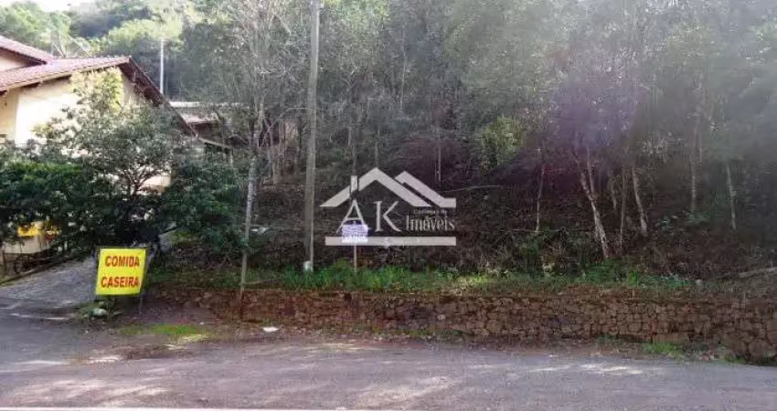 Terreno a venda, às margens da br 116, em picada café, na serra gaúcha