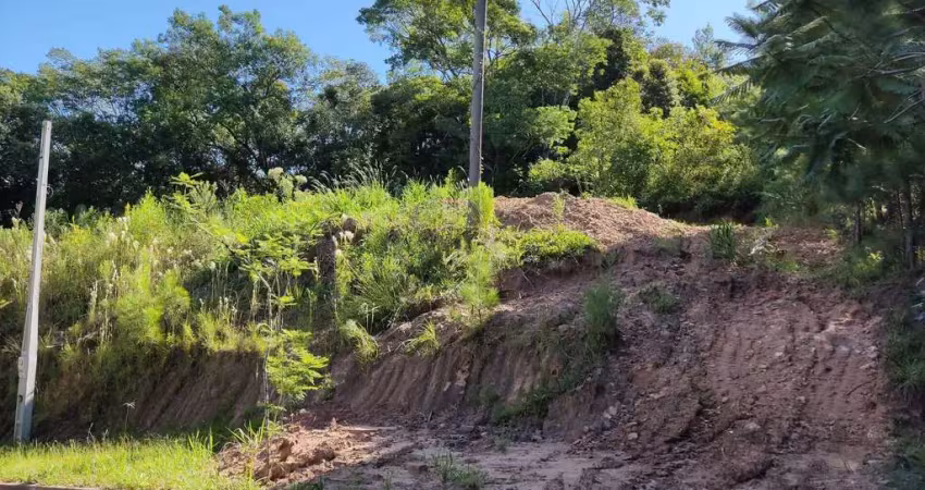 Terreno com fundos para área verde à venda em picada café, na serra gaúcha