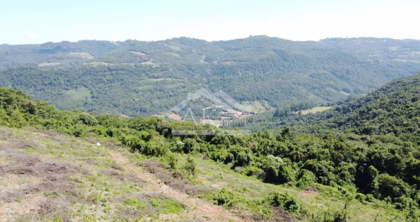 Área de terra com vista à venda em Picada Café na Serra Gaúcha