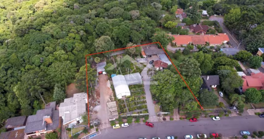 Amplo terreno à venda com potencial comercial no centro da cidade de nova petrópolis, na serra gaúcha