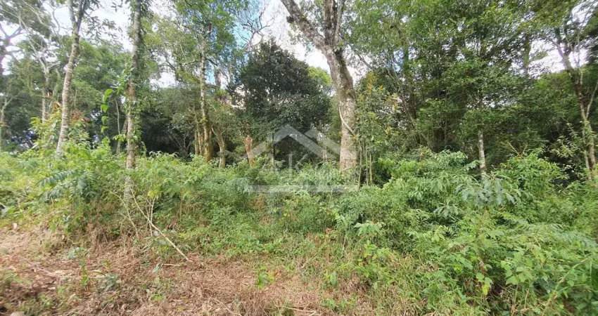 Amplo terreno à venda em nova petrópolis, na serra gaúcha