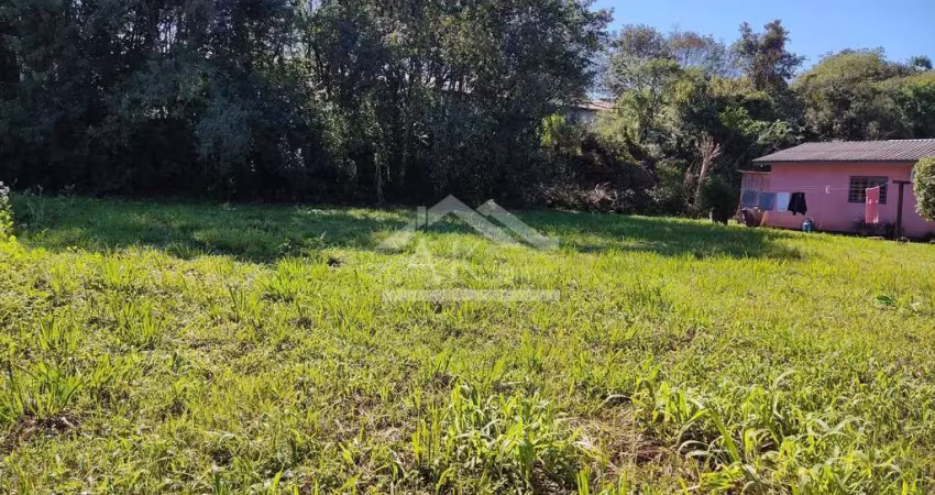 Terreno plano à venda, próximo a br-116, em picada café na serra gaúcha