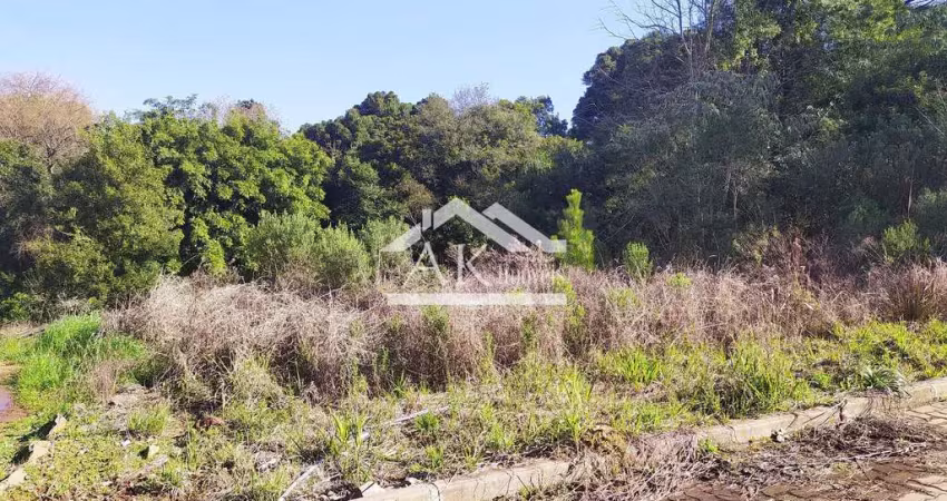 Terreno com 368,60m² à venda em nova petrópolis na serra gaúcha