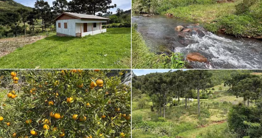 Chácara com riacho à venda no interior de morro reuter