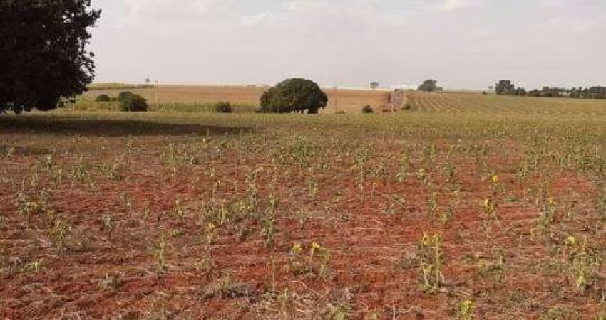 Terreno industrial à venda na entrada do Santo Antônio Sapezeiro em Santa Bárbara d'Oeste