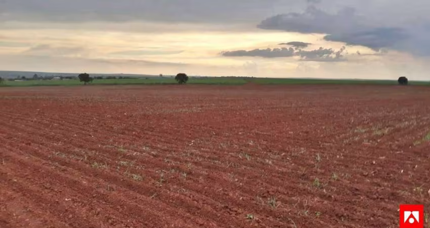 Terreno Rural à Venda em Nova Odessa - 8.547 Alqueires.