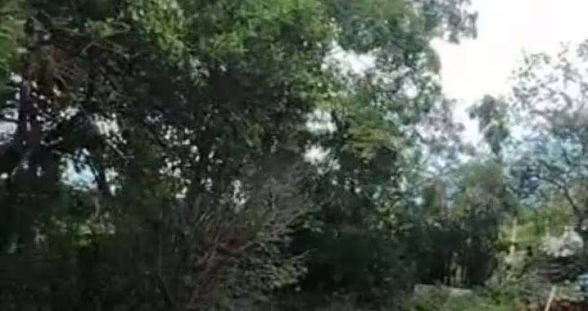 Terreno à venda no jardim vista alegre em santa bárbara d'oeste com 380 m²