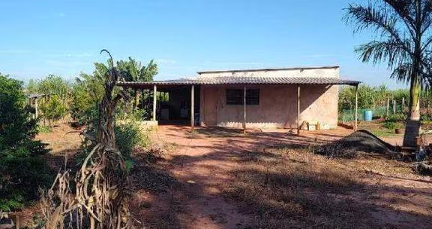 Sítio na Zona Rural de Santa Bárbara d’Oeste com 2 Quartos e Pomar Produtivo