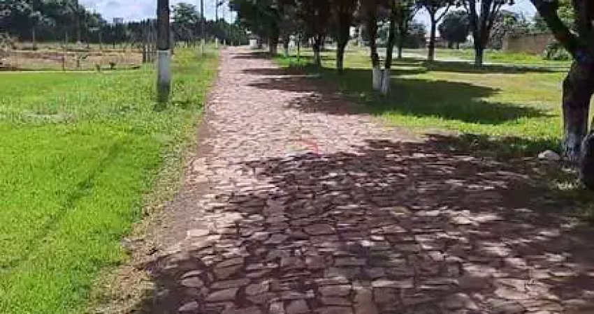 Chácara / sítio à venda na Pr, 5, Chácaras Itaúna, Ibiporã