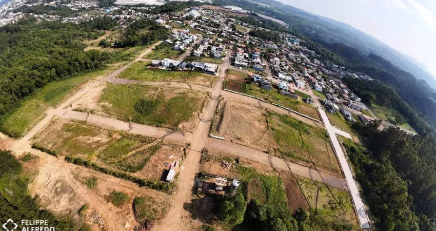 Terreno à venda Bela Vista Dois Irmãos/RS