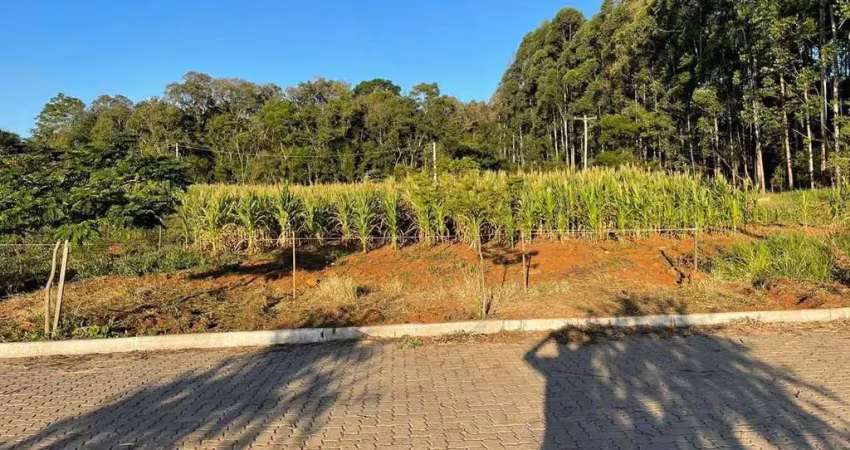 Terreno à venda na Rua Das Broméllias, 02, São João, Dois Irmãos