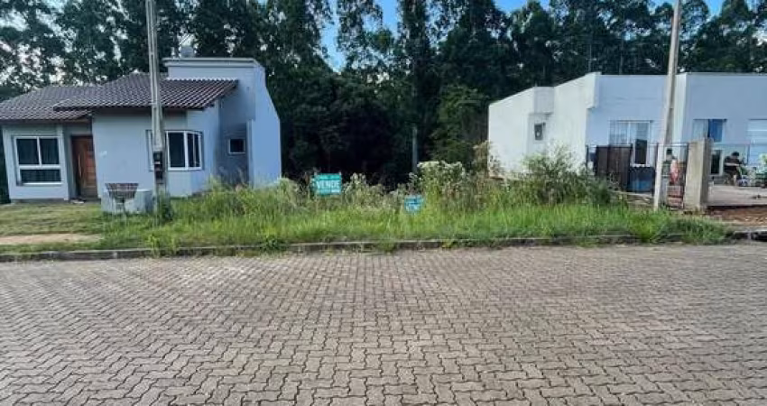 Terreno à venda Bela Vista Dois Irmãos/RS