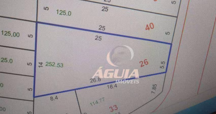 Terreno à venda, 252 m² por R$ 375.000,00 - Vila Curuçá - Santo André/SP