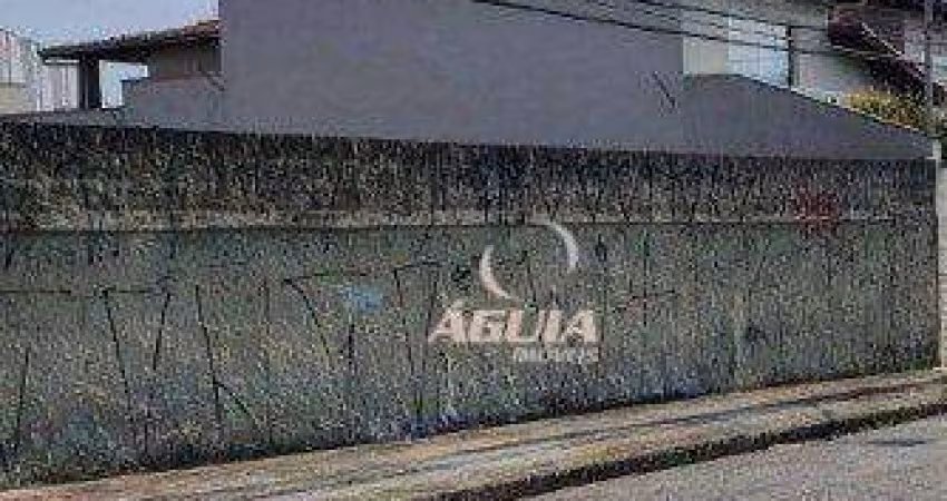 Terreno à venda, 250 m² por R$ 750.000,00 - Jardim Stella - Santo André/SP