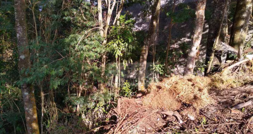Terreno em condomínio fechado à venda na Estrada do Rancho Maringá, Loteamento Rancho Maringá II, Atibaia