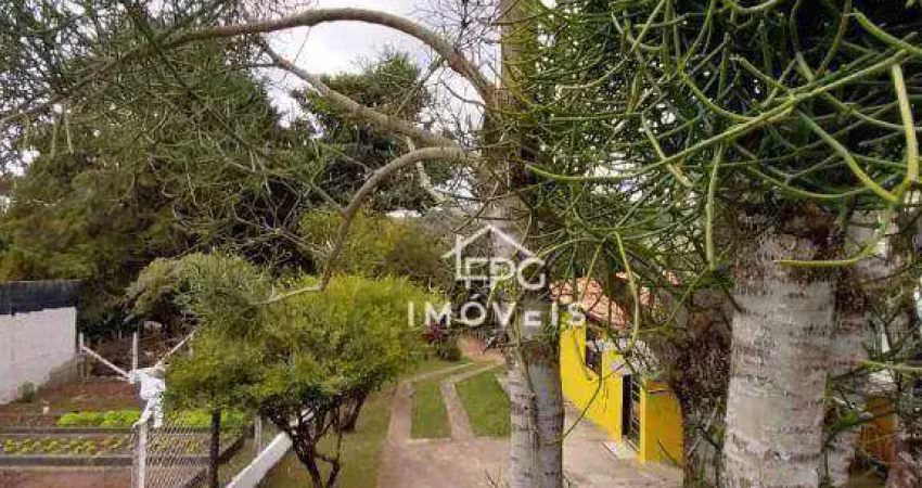 Terreno à venda na Avenida Ipê, Vitória Régia, Atibaia