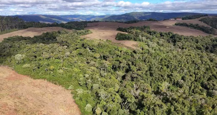 Fazenda para venda em leoberto leal, zona rural, 2 dormitórios, 1 banheiro
