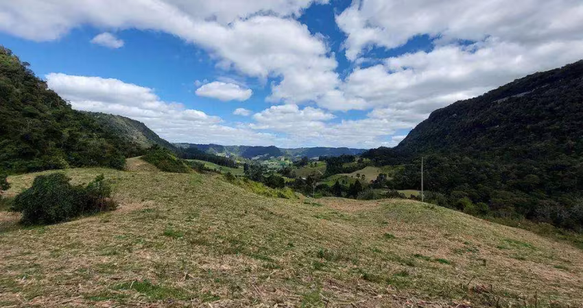 Chácara / sítio à venda na Estrada Geral, Serra dos Alves, Agrolândia