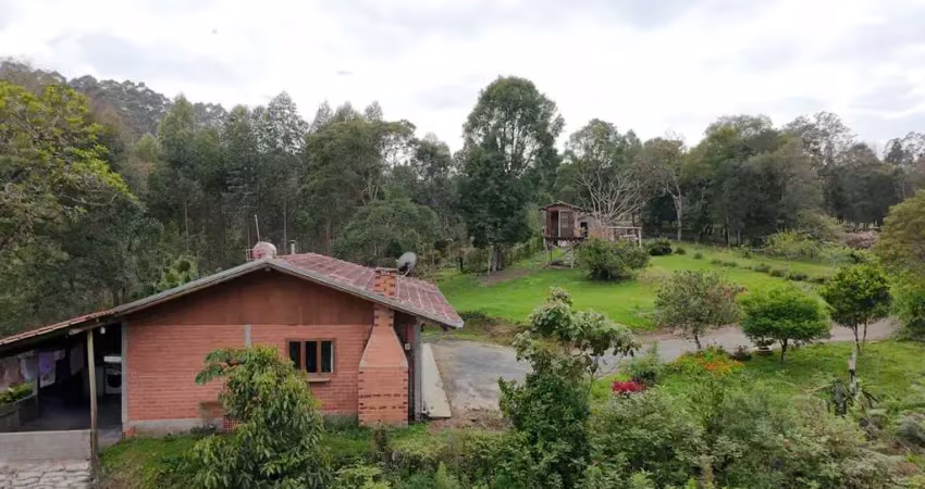 Sítio para venda em rio do sul, serra canoas, 3 dormitórios, 1 banheiro