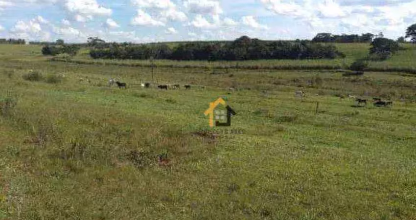 Sítio à venda, 545952 m² por R$ 5.188.800,00 - Zona Rural - Álvares Florence/SP