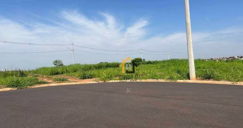 Terreno à venda, 310 m² por R$ 109.000,00 - Menezes  - Bady Bassitt/SP