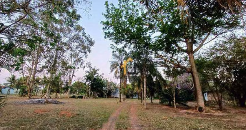 Chácara com 2 dormitórios à venda, 5000 m² por R$ 650.000,00 - Terra de São Lucas (Zona Rural) - São José do Rio Preto/SP