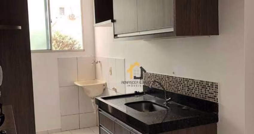 Apartamento com 2 Quartos à venda, 45 m² por R$ 190.000 - Jardim Conceição - São José do Rio Preto/SP