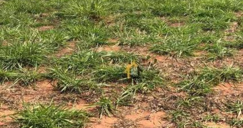 Terreno à venda, 220 m² por R$ 85.000 - Menezes 5 - Bady Bassitt/SP