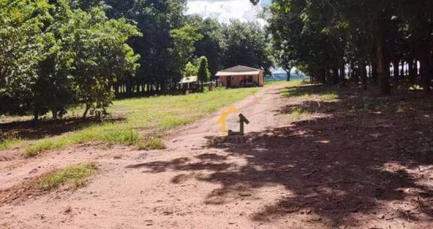 Sítio de 230.000 hectares à venda por R$ 5.750.000,00 - Rodovia Péricles Bellini - Votuporanga/SP