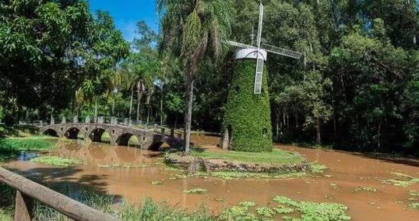 Terreno em aclive à venda no Swiss Park - Campinas/SP.