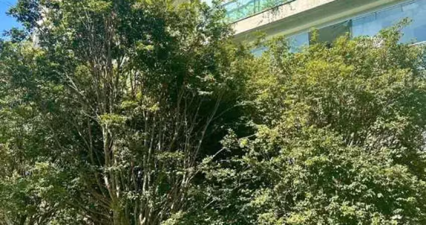 Cerqueira Cesar Apartamento A Venda 3 Suites 196m2 2 Vagas Novo Pronto P Morar