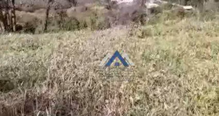 Sítio à venda, 133100 m² por r$ 1.550.000,00 - zona rural - ibiporã/pr