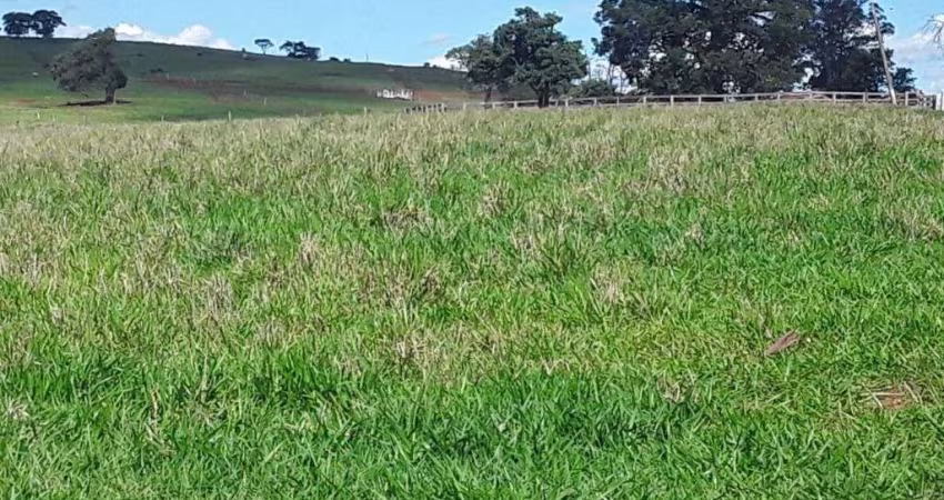 Fazenda à venda, 1016400 m² por R$ 5.650.000,00 - Chácara Paraíso - Jacarezinho/PR