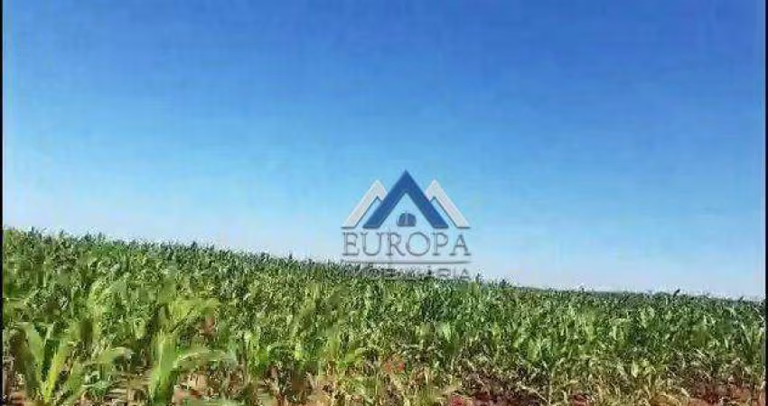 Fazenda à venda, 1495560 m² por R$ 26.000.000,00 - Rural - Bela Vista do Paraíso/PR