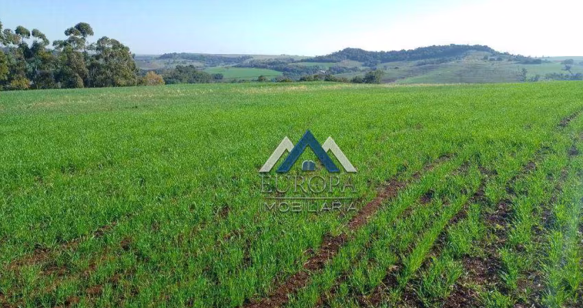 Sítio à venda, 363000 m² por R$ 1.800.000,00 - Residencial Capeli - Abatia/PR