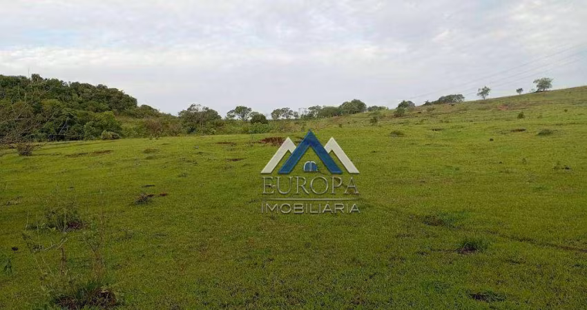 Sítio à venda, 242000 m² por R$ 1.500.000,00 - Rural - Leópolis/PR