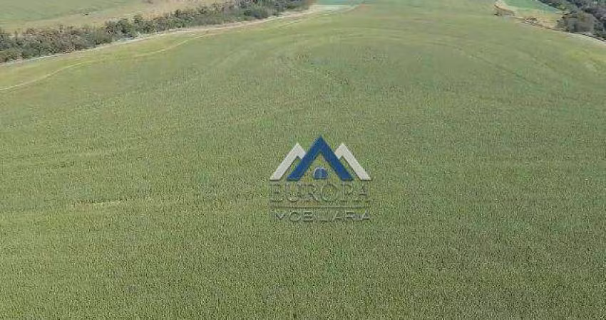 Fazenda à venda, 1815000 m² por R$ 23.100.000,00 - Rural - Leópolis/PR