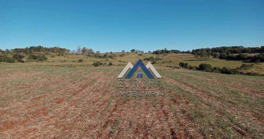 Sítio à venda, 726000 m² por R$ 7.500.000,00 - Rural - Santa Cecilia do Pavão/PR