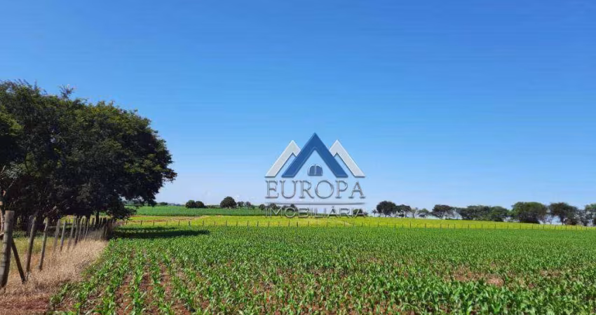 Área à venda, 27000 m² por R$ 3.000.000,00 -  Distrito Espírito Santo - Londrina/PR
