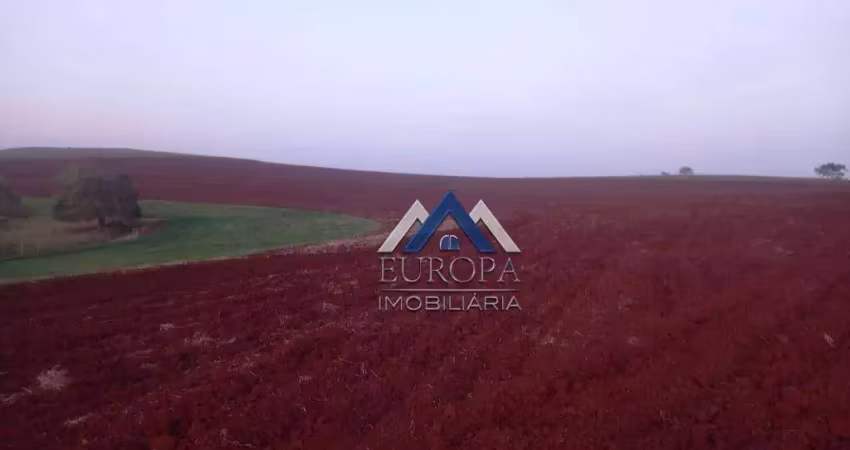 Fazenda com 3 dormitórios à venda, 1306800 m² por R$ 14.480.000,00 - Zona Rural - Cornélio Procópio/PR