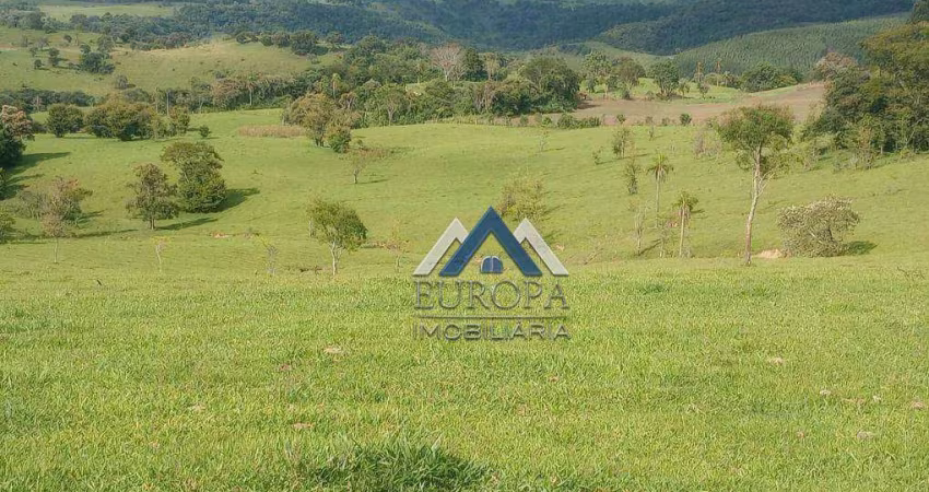 Fazenda à venda, 968000 m² por R$ 4.400.000,00 - Lambari - Sapopema/PR