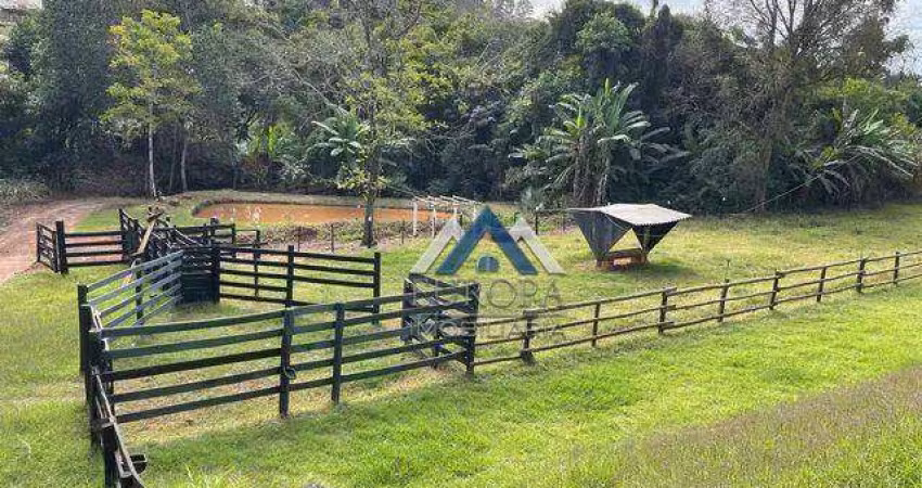 Haras em Rolândia ( Próximo a Capela São Rafael)