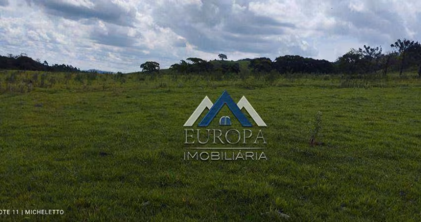 Fazenda com 3 dormitórios à venda, 1113200 m² por R$ 6.100.000,00 - Rural - Jacarezinho/PR