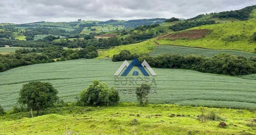 Fazenda com 4 dormitórios à venda, 762300 m² por r$ 6.700.000,00 - linha santana - catanduvas/pr